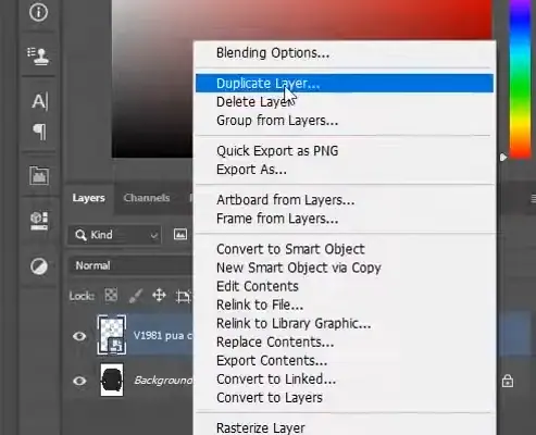 Selecting and duplicating layer