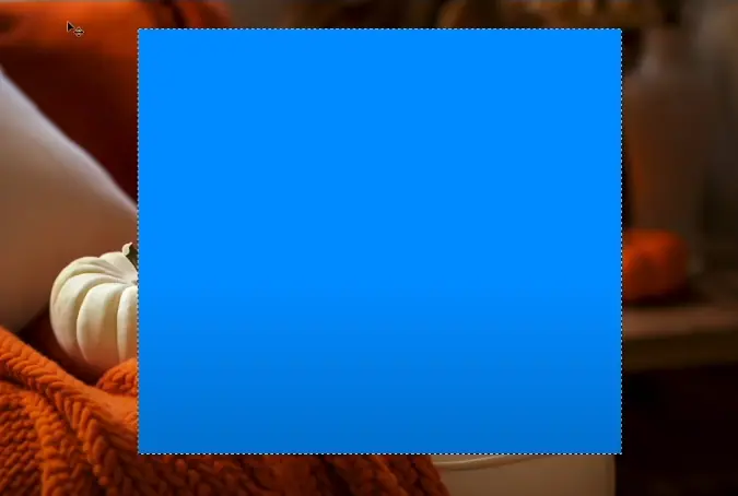 fill the placeholder with a color