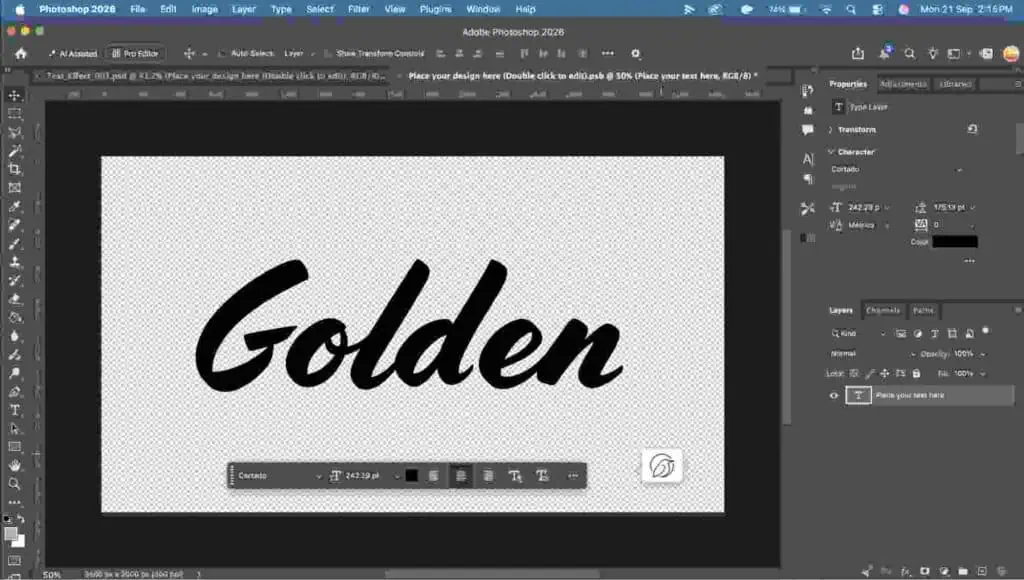 Check for the layer in the layer panel